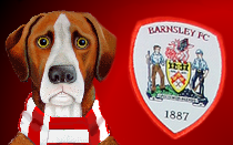 Barnsley FC: Aapo Halme one of five players to leave Oakwell