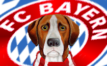 Women's German Cup: Bayern Munich exact revenge to book quarterfinals spot