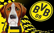 No Haaland, no problem as cup holders Dortmund advance