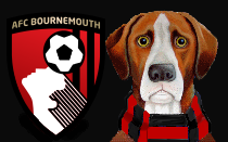 Bournemouth: How to follow the Cherries on the BBC