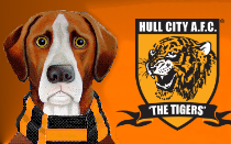 West Bromwich Albion v Hull City