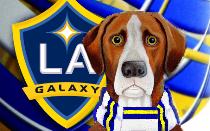 Pedro Gallese Sets Club Shutout Record in Lions' 1-0 Victory over LA Galaxy