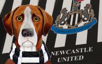Newcastle boss Eddie Howe faces huge problem in bid to land January signings