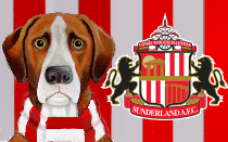 Kyril Louis-Dreyfus: Sunderland chairman increases shareholding in club to 51%