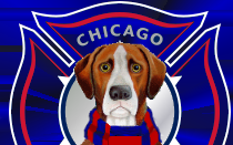 Chicago Fire FC Unveils New 
